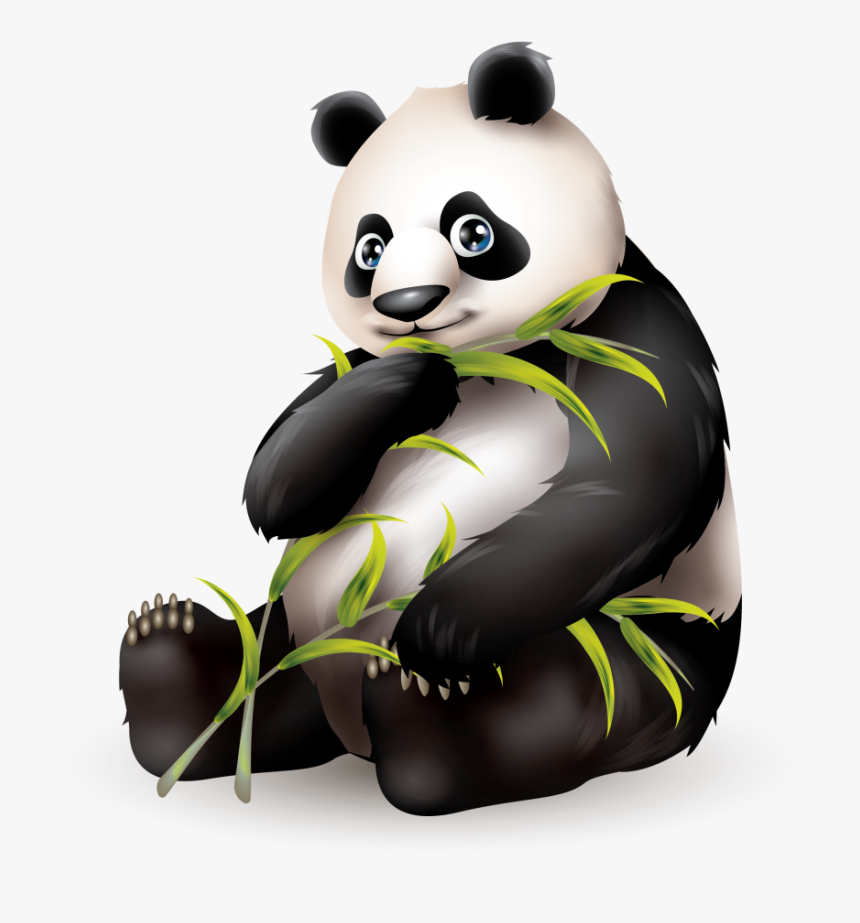 Panda Fur - Zoo Animals In Japanese, HD Png Download