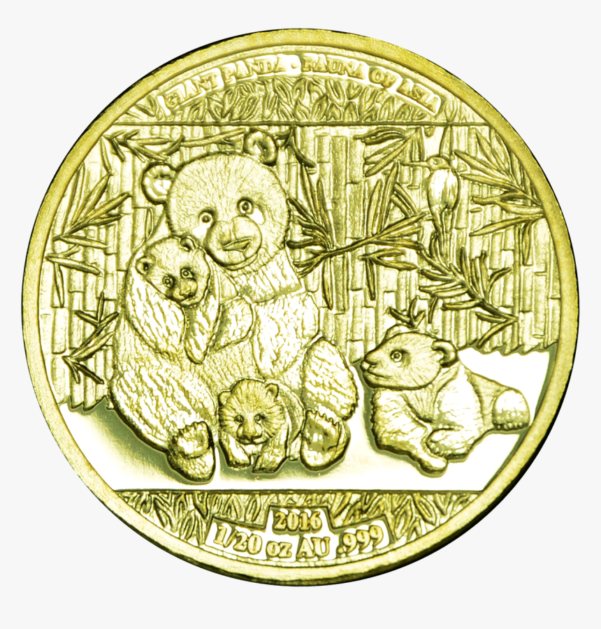World Stars Giant Panda 1/20 Gold - Coin, HD Png Download