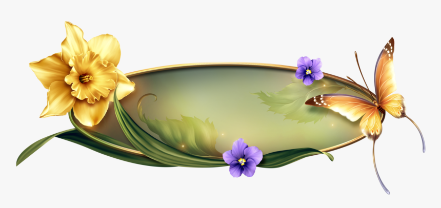 Spring Glow Bellisima, Glow, Beautiful Pictures, Flowers, - Cattleya, HD Png Download