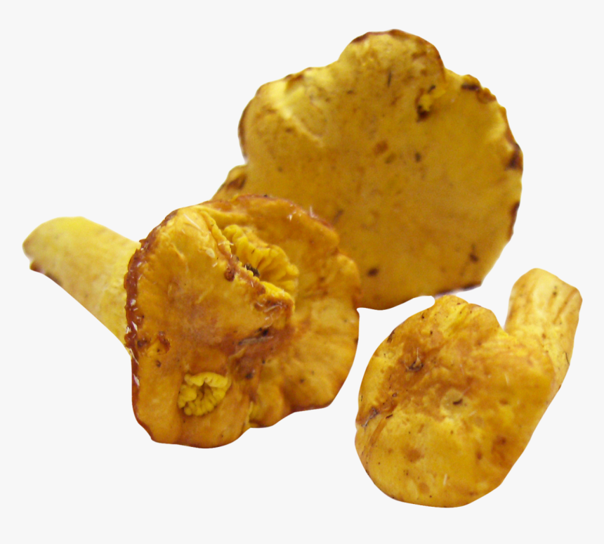 Mushroom Png Image - Recetas De Cocina Escritas, Transparent Png