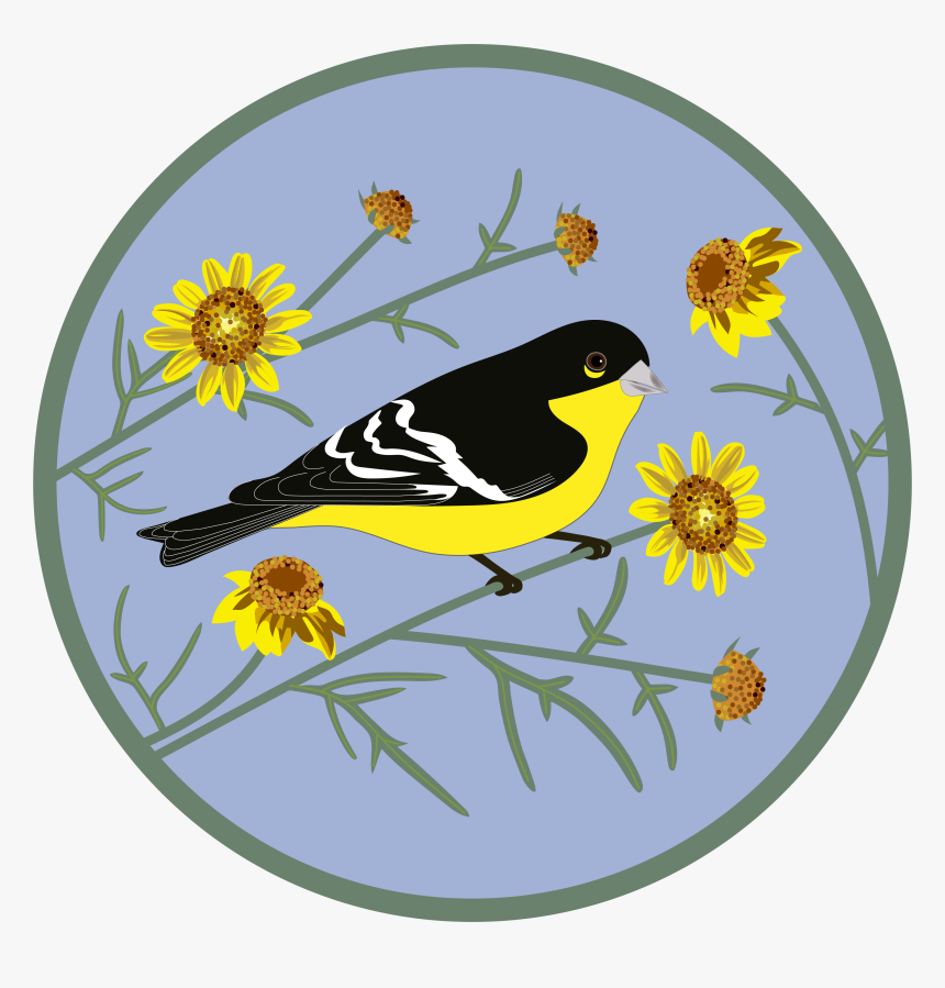 Flower Patch Png , Png Download, Transparent Png