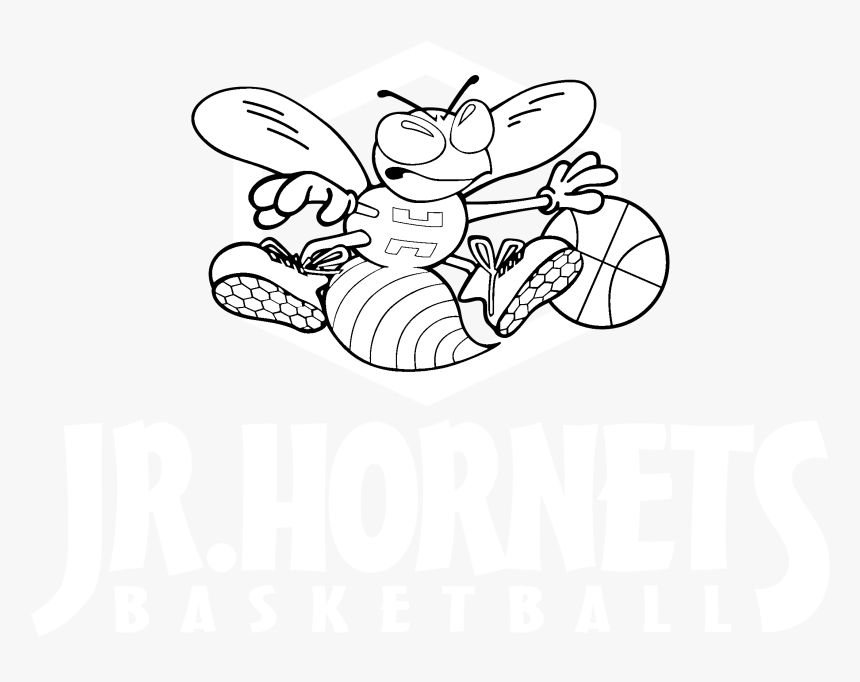 Transparent White Basketball Png - Cartoon, Png Download