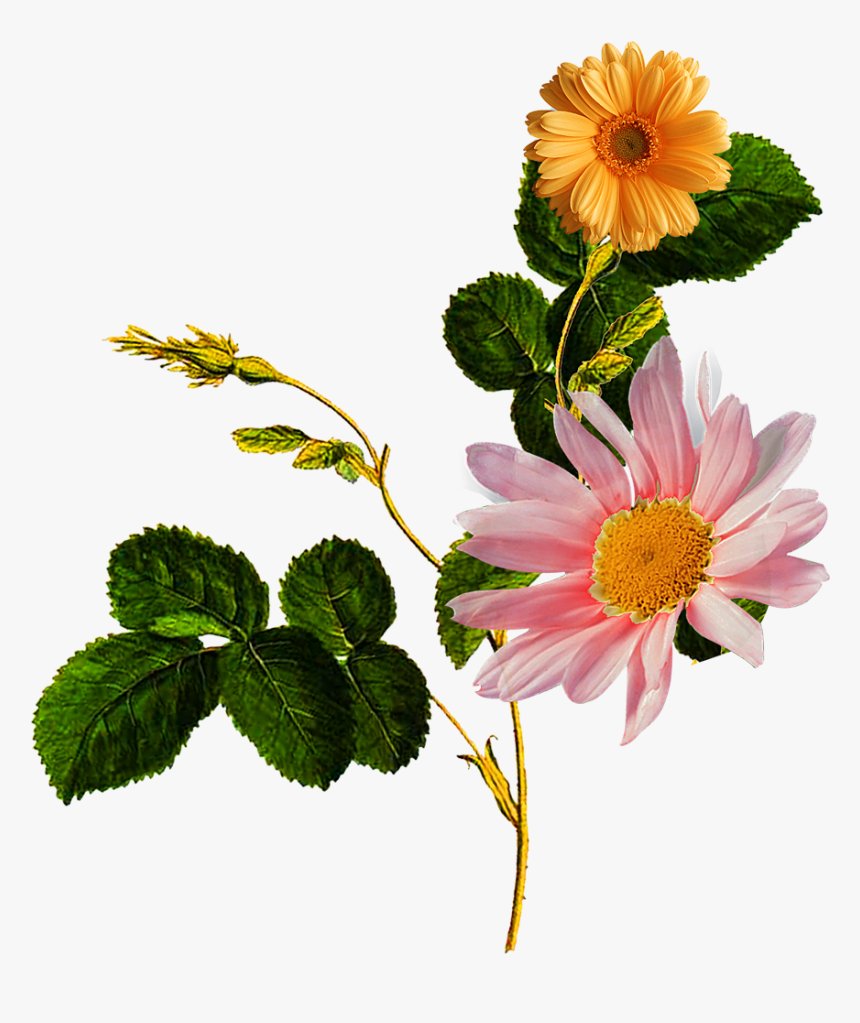 Flower Patch Textile Design - وردة صفراء, HD Png Download