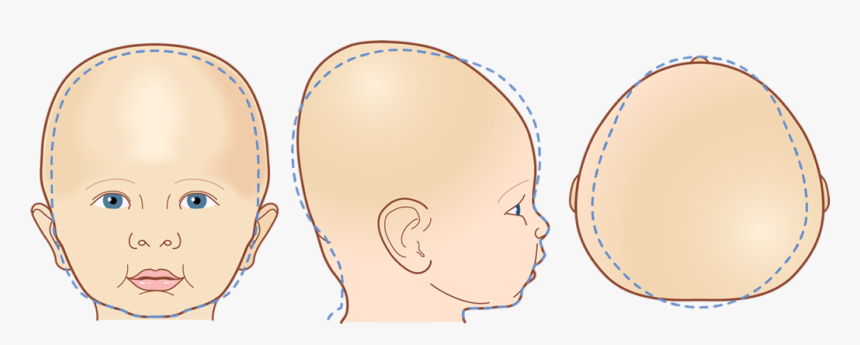 Transparent Baby Head Png, Png Download