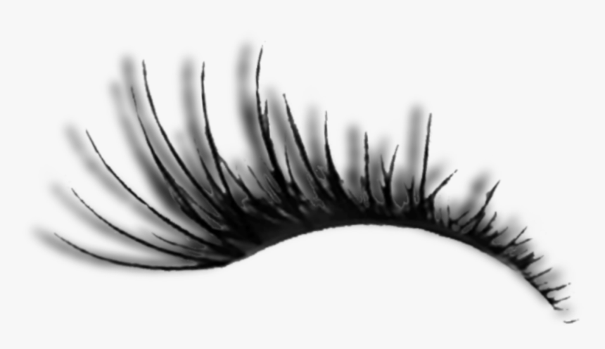 #lashes #eye #makeup #cool #face - Mascara, HD Png Download