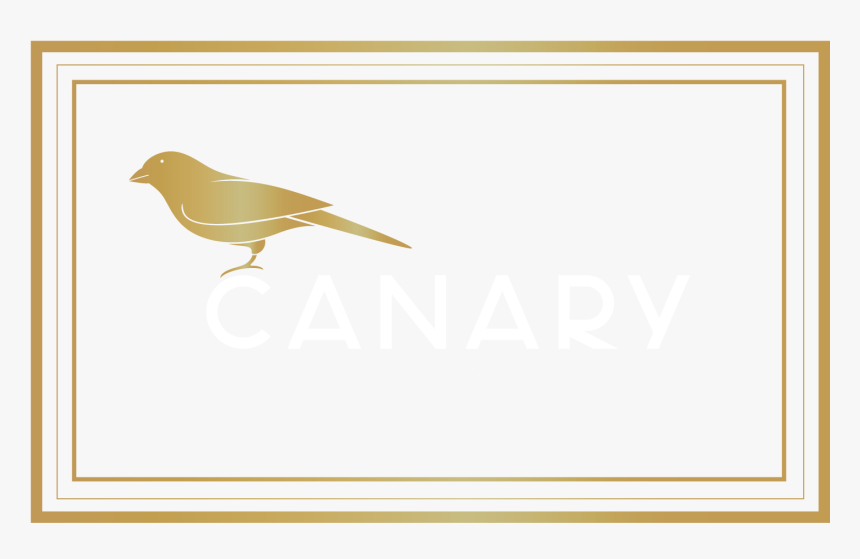 Transparent White Canary Png - Emberizidae, Png Download
