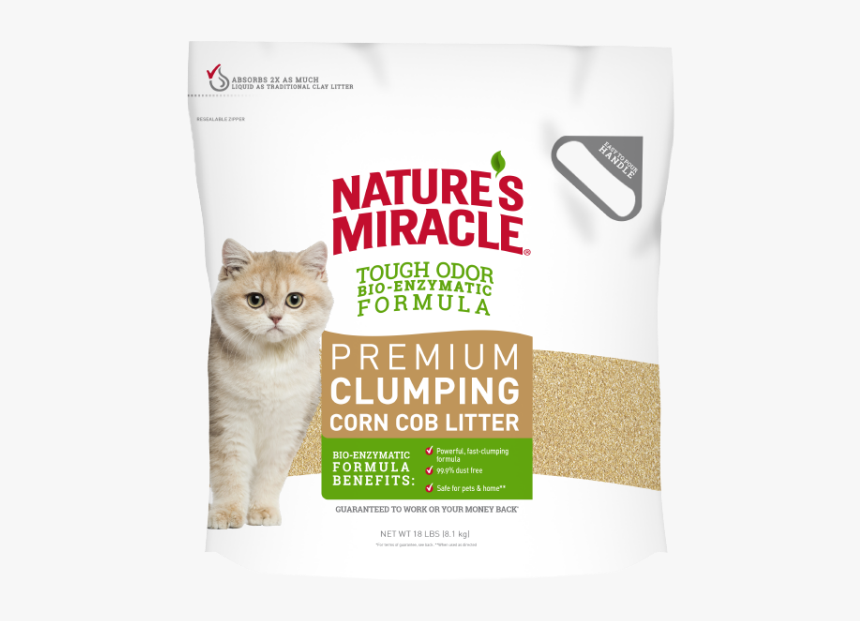 Cat Grabs Treat, HD Png Download