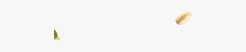 Budgie, HD Png Download