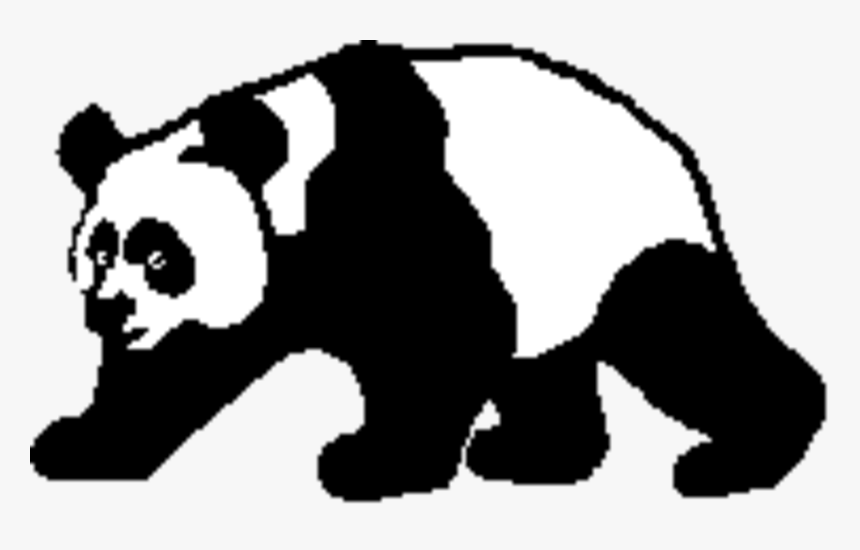 Panda Viviparis Or Oviparous, HD Png Download