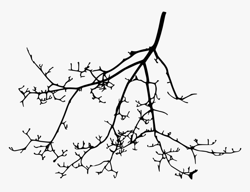 Tree Branch Silhouette Transparent Vol Png Sleek Silhouette - Line Art, Png Download