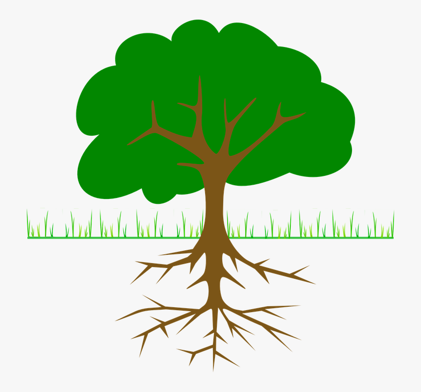 Tree Clip Art, HD Png Download