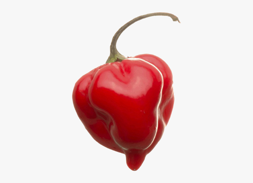 Transparent Png Habanero Pepper, Png Download