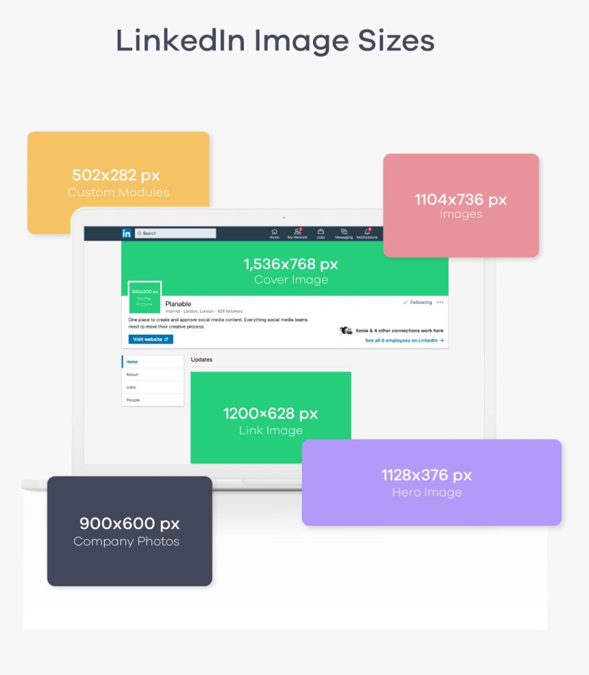 Linkedin Image Sizes - Linkedin Company Cover Image Size 2019, HD Png Download