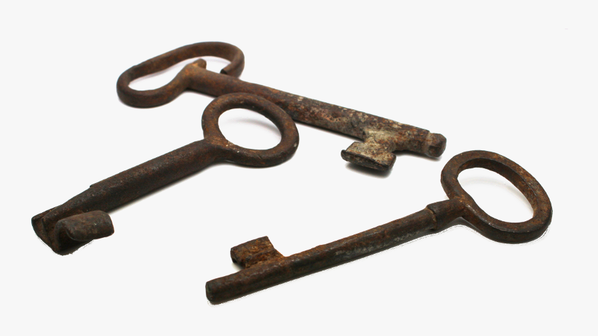 Wood, HD Png Download