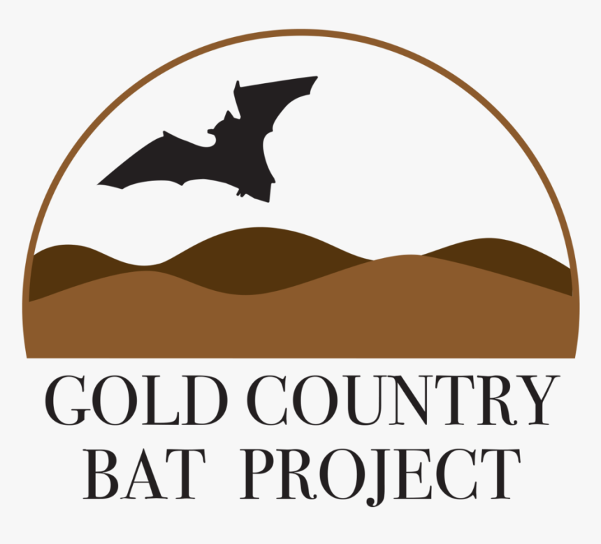 Flying Bats Png, Transparent Png