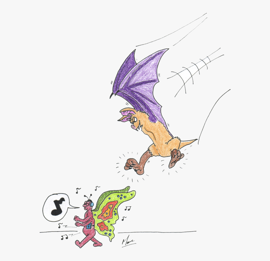 Bat And Moth Cartoon, HD Png Download