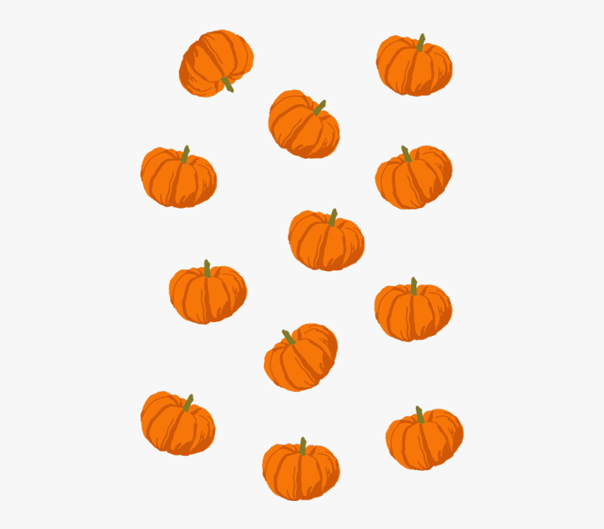 Transparent Pumpkin Vine Png - Pumpkin Png, Png Download