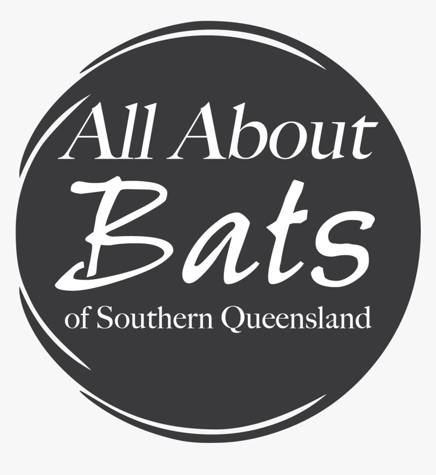 All About Bats - Circle, HD Png Download