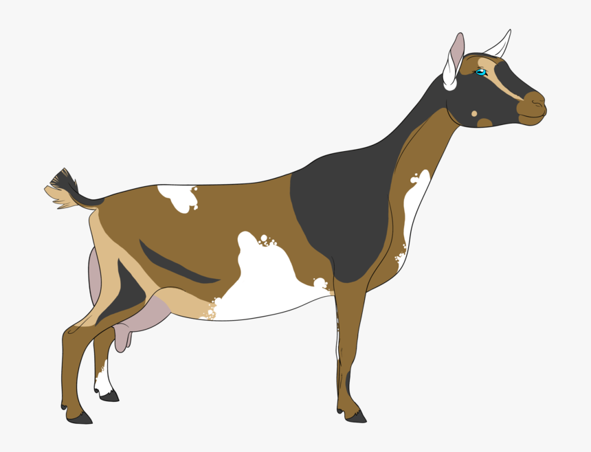 Goat, HD Png Download