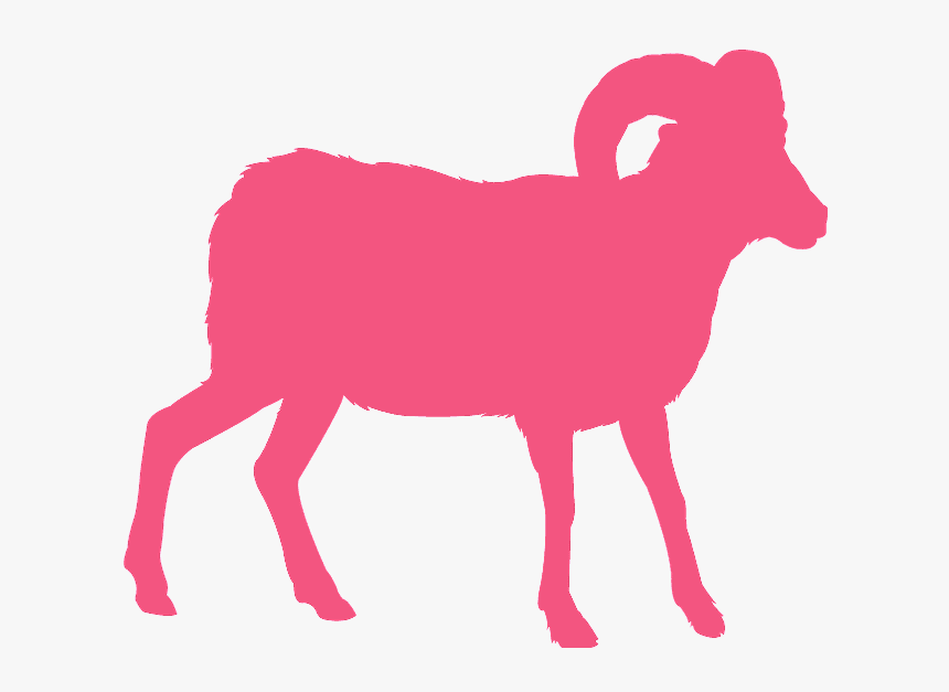 Bighorn, HD Png Download