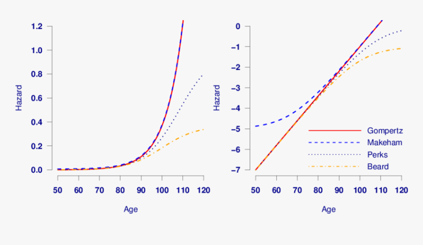 Hazard Functions For A Gompertz, Makeham, Perks And, HD Png Download