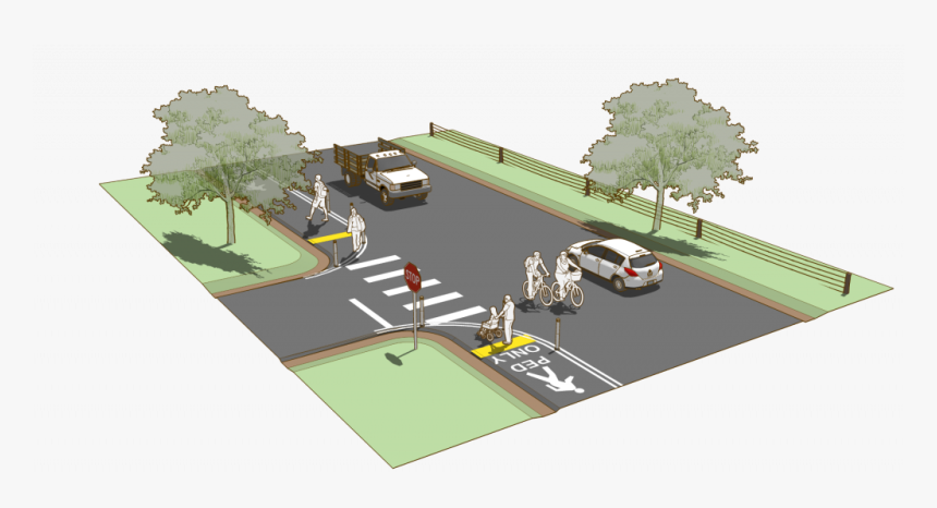 Tree, HD Png Download