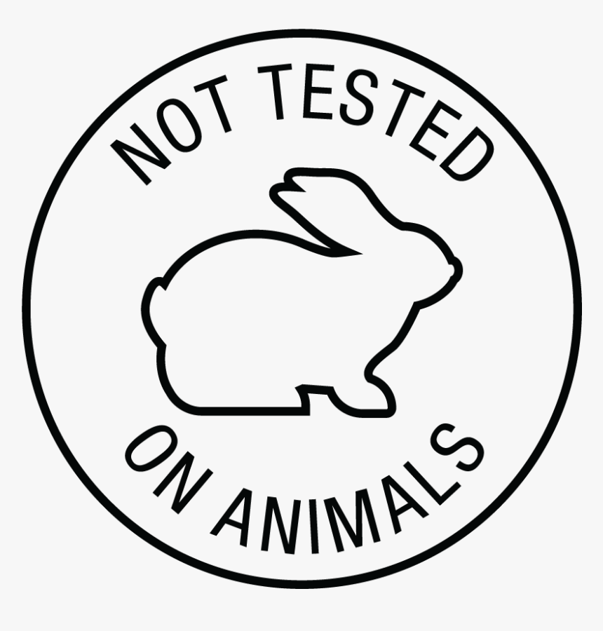 Vegan, Gluten Free, Gmo Free, Certified Organic, HD Png Download