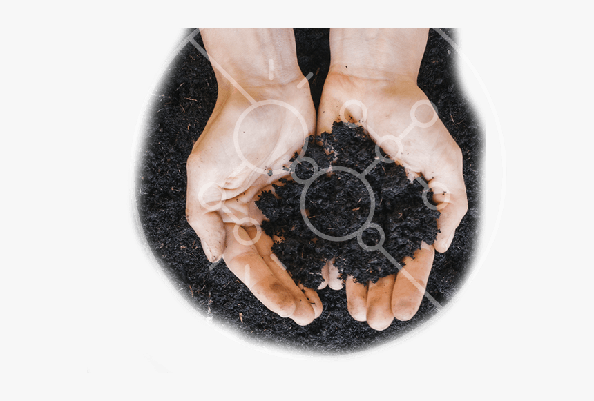 Barefoot, HD Png Download