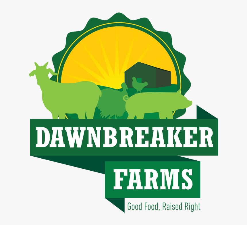 Graphic Design, HD Png Download