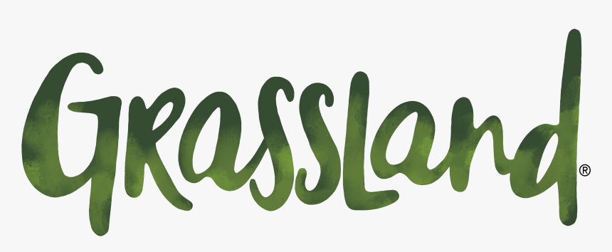 Transparent Gmo Free Png - Calligraphy, Png Download