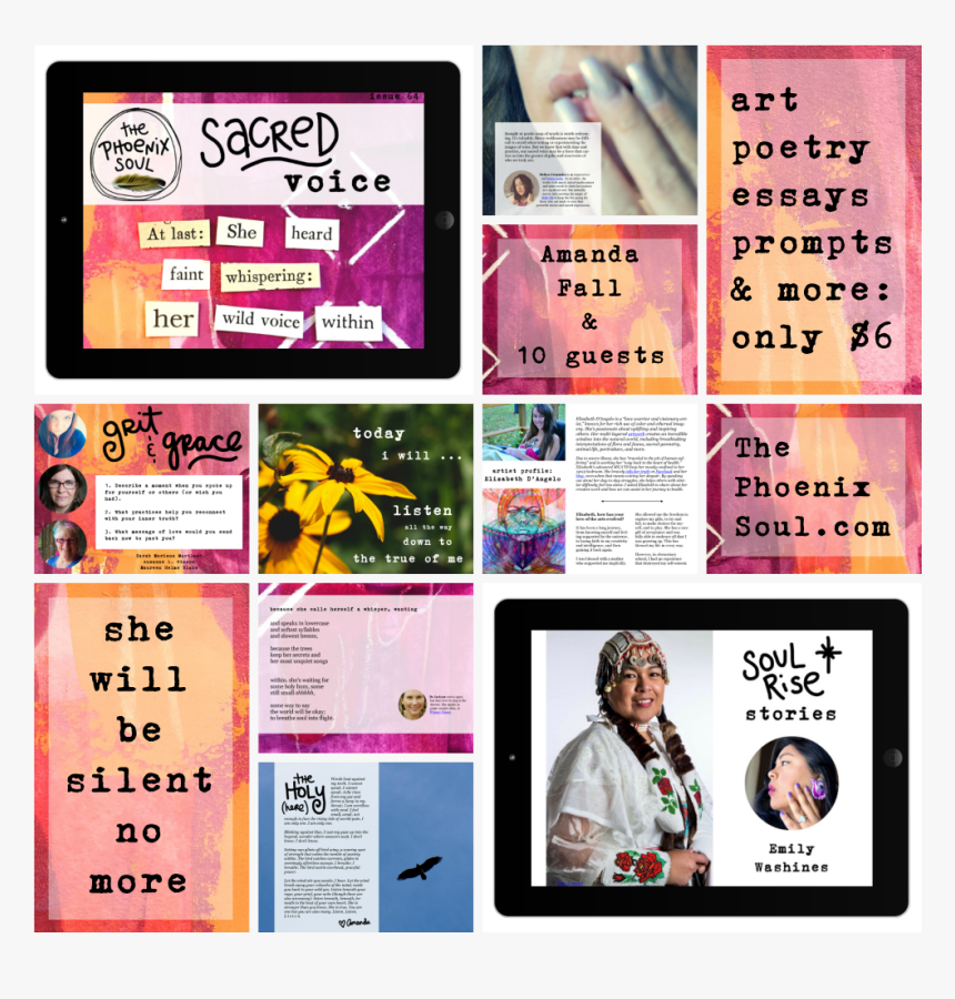 Sv Collage Large - Graphic Design, HD Png Download