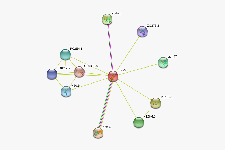 Dhs-5 Protein, HD Png Download
