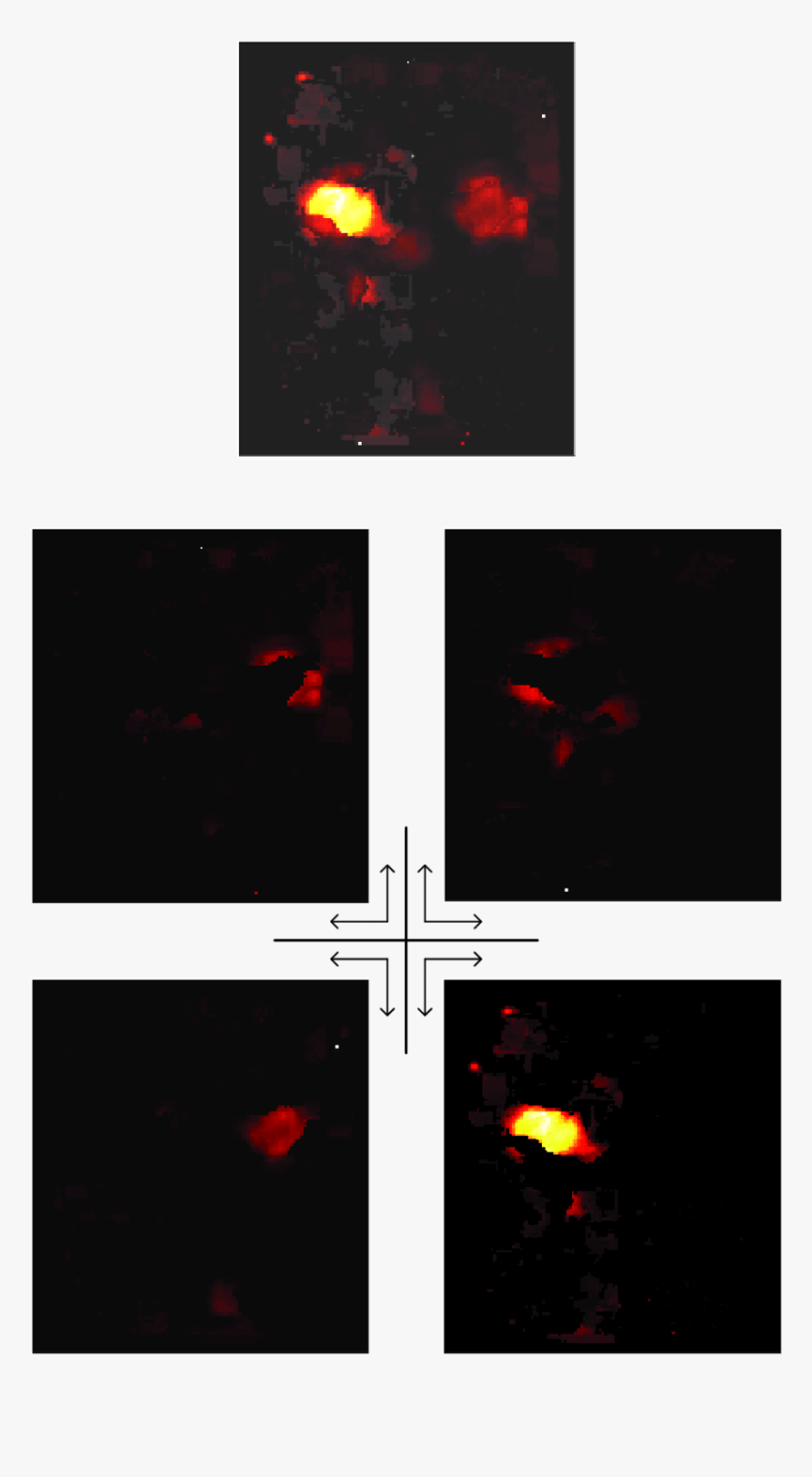 Screenshot, HD Png Download