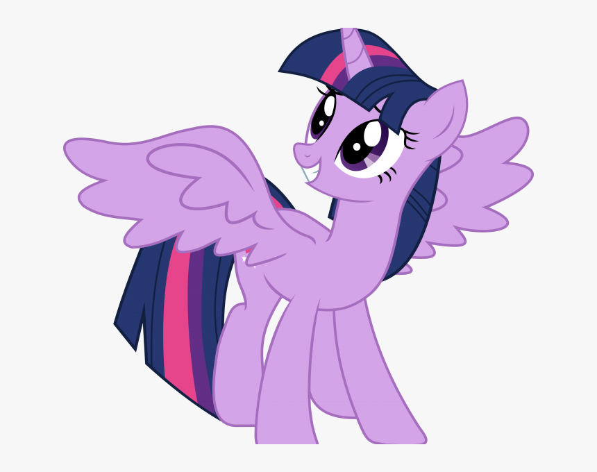 Little Pony Cliparts - Twilight Sparkle My Little Pony Princess, HD Png Download