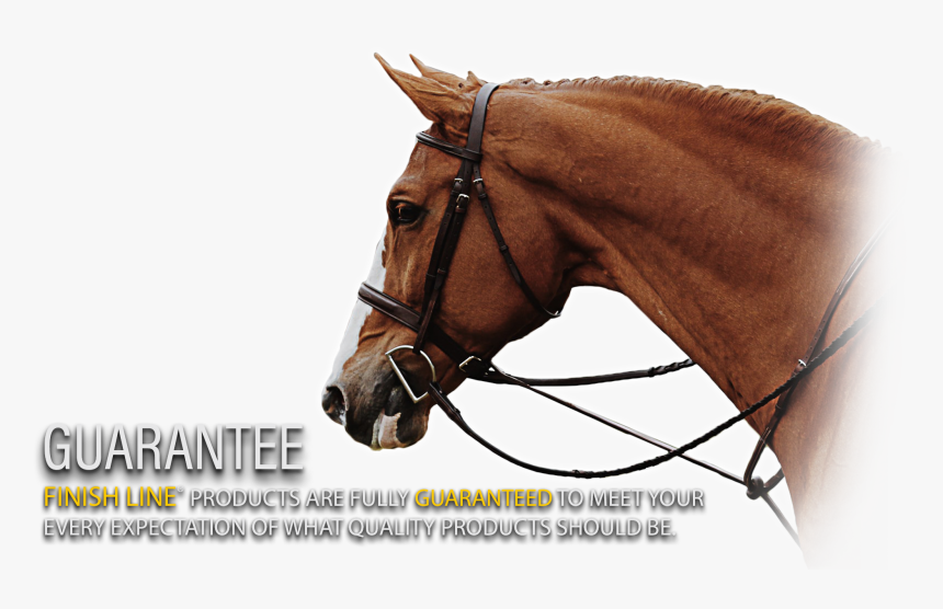 Sorrel, HD Png Download