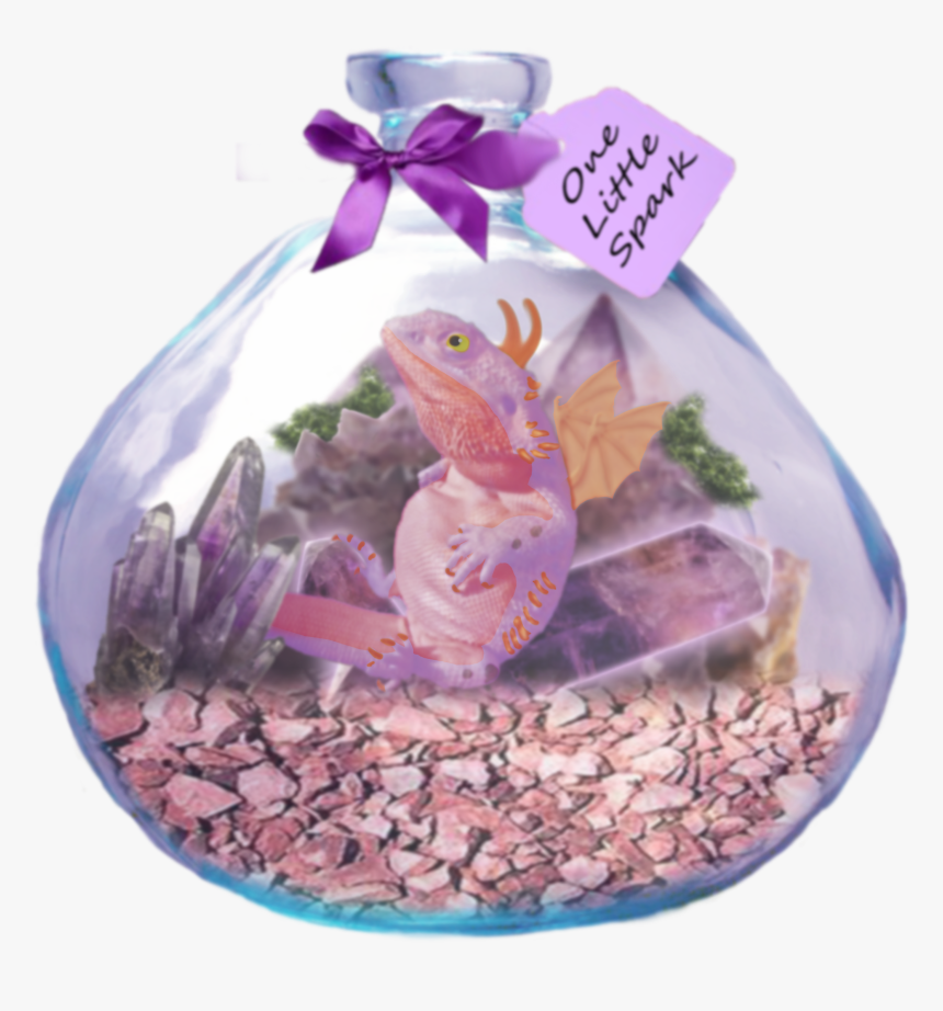 One Little Spark - Aquarium, HD Png Download