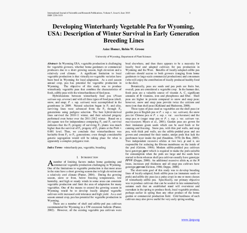 Document, HD Png Download