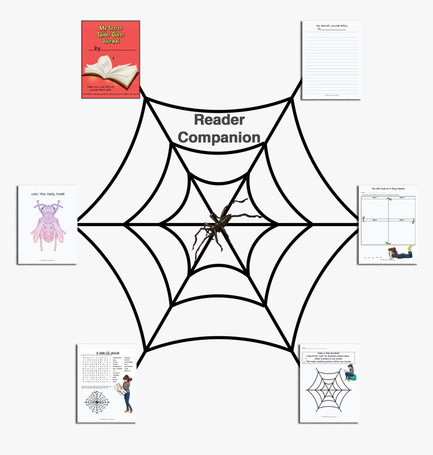 Drawing Entry Journal - Outline Of A Spider Web, HD Png Download