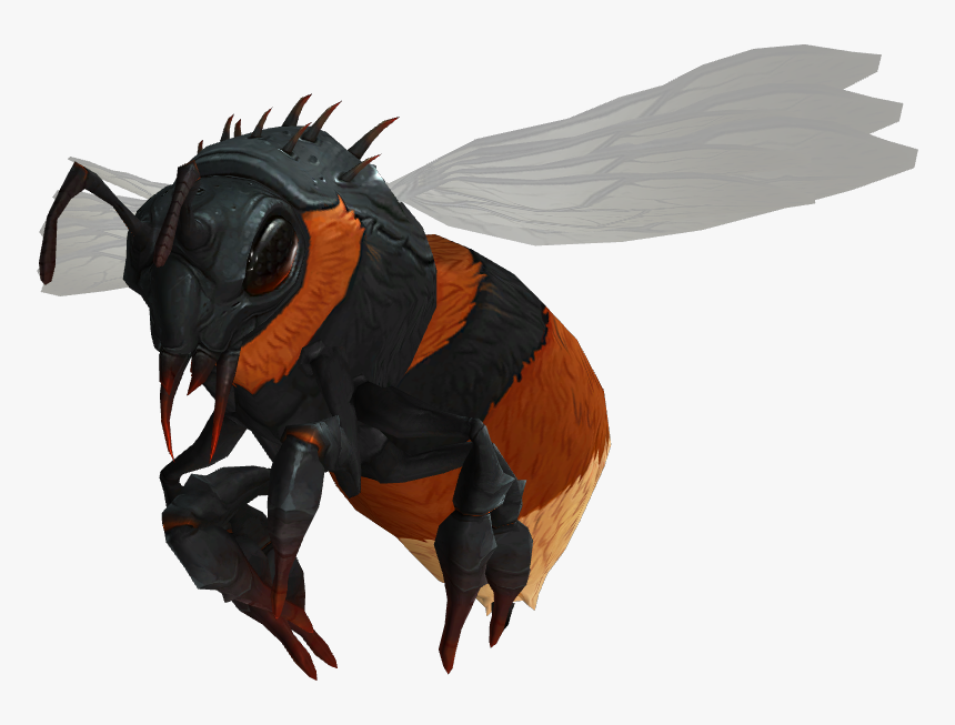 Beetle, HD Png Download