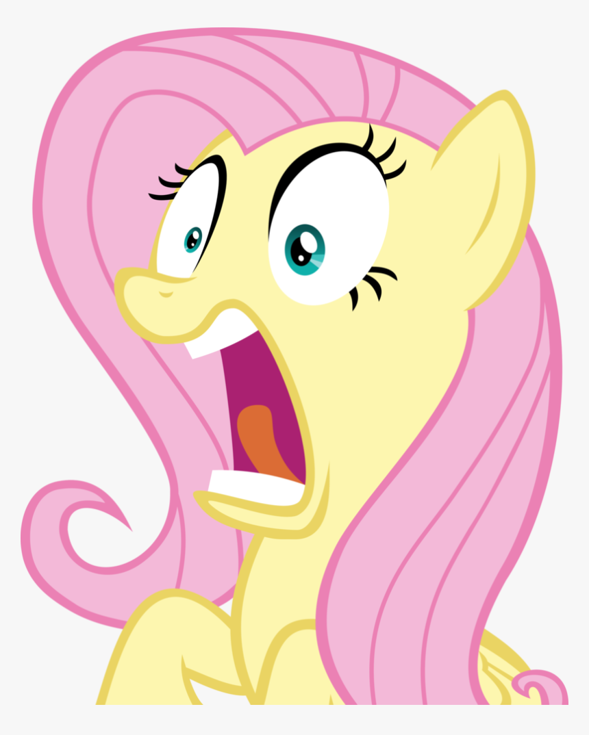 Fluttershy Shocked By Spyro - Rainbow Dash And Fluttershy Shocked, HD Png Download
