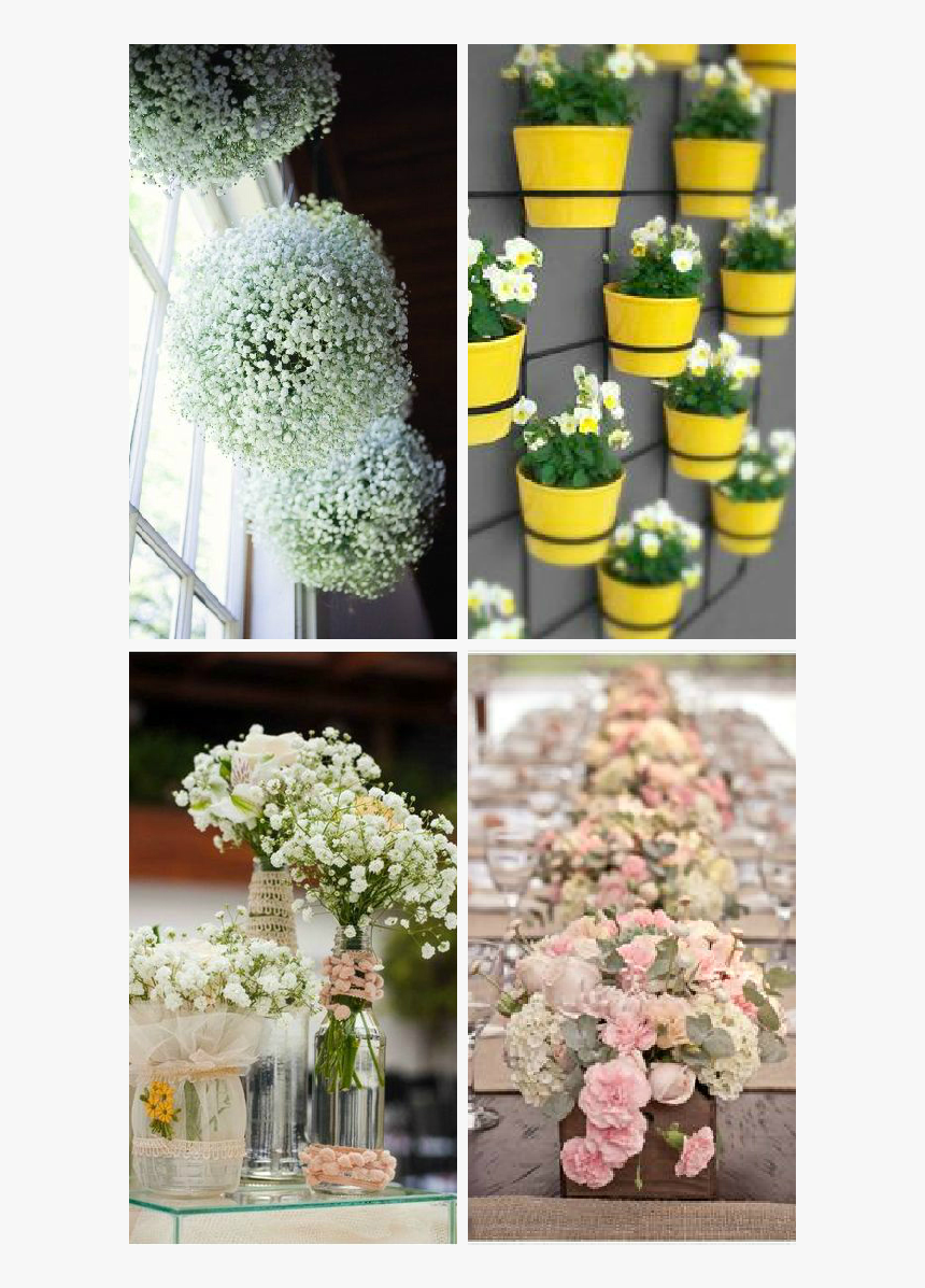 Flor Ok - Trang Trí Văn Phòng Làm Việc Nhỏ, HD Png Download