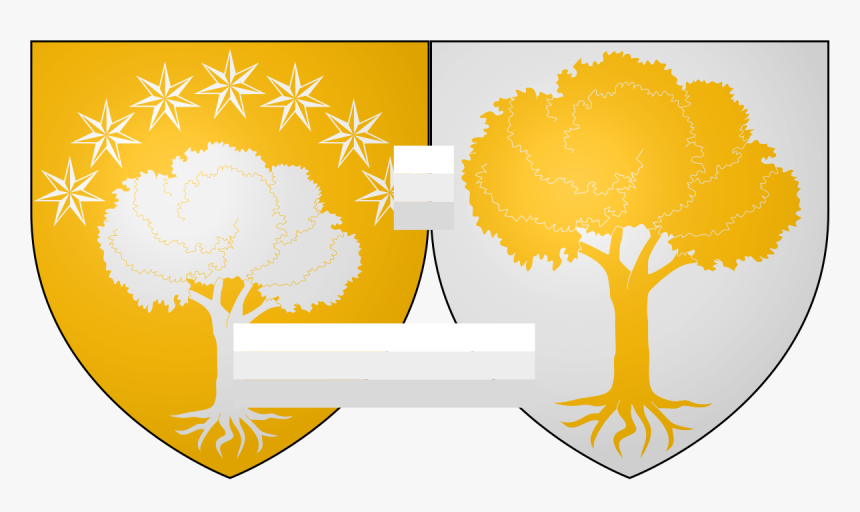 Tree, HD Png Download