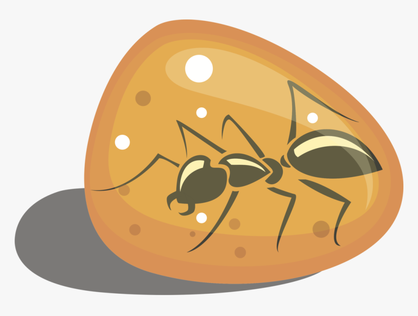 Invertebrate,food,fruit - Bug In Amber Clip Art, HD Png Download
