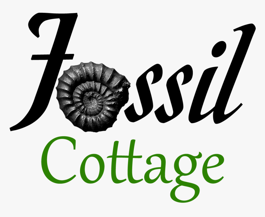 Fossil Cottage Fossil Cottage, HD Png Download