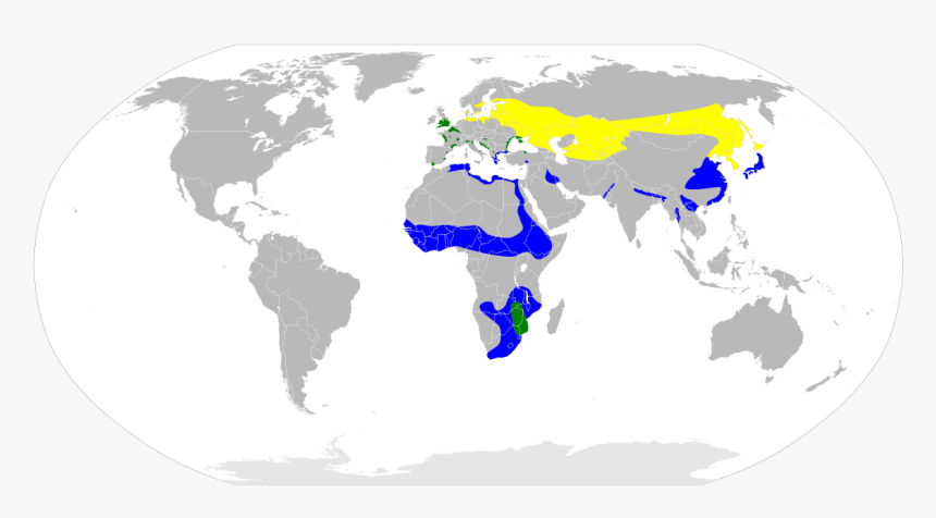 World Map Free Source, HD Png Download