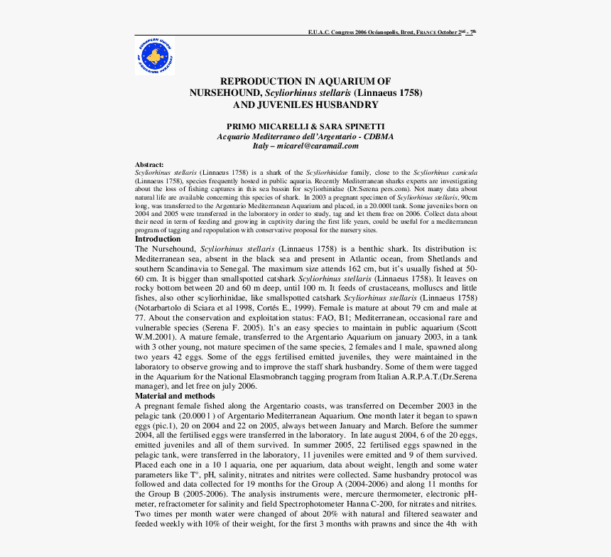 Document, HD Png Download