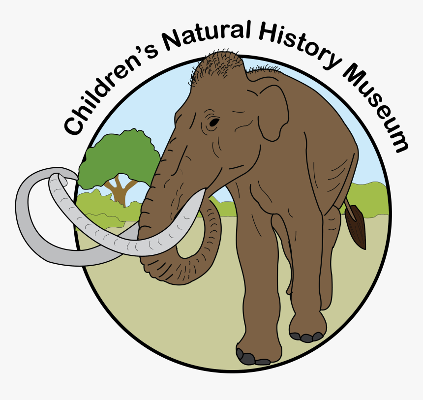 How To Use Museum September 7, 2019 Saturday 10am -12 - Indian Elephant, HD Png Download