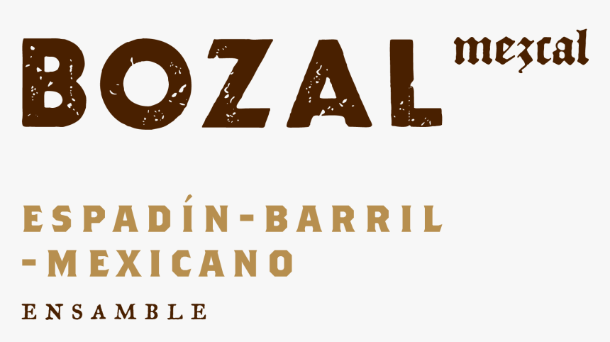 Alexander Hamilton, HD Png Download