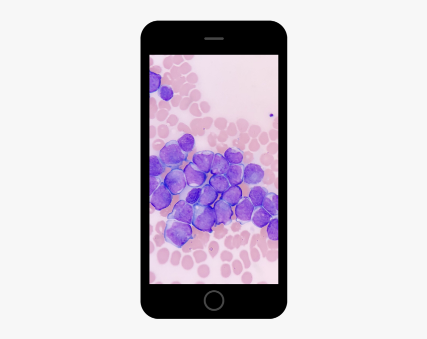 Scenery Iphone 6 6s Plus, HD Png Download