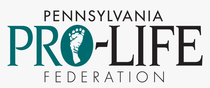 Picture - Graphic Design, HD Png Download